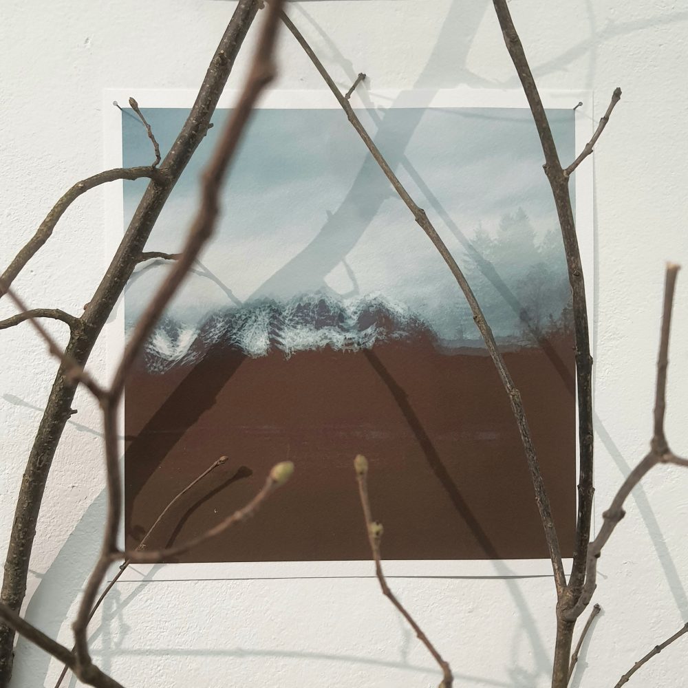 Andrea J Grote, O.T. (time pieces III), Fotografie, Äste, Nägel Installation, 2025, 150x250x45cm