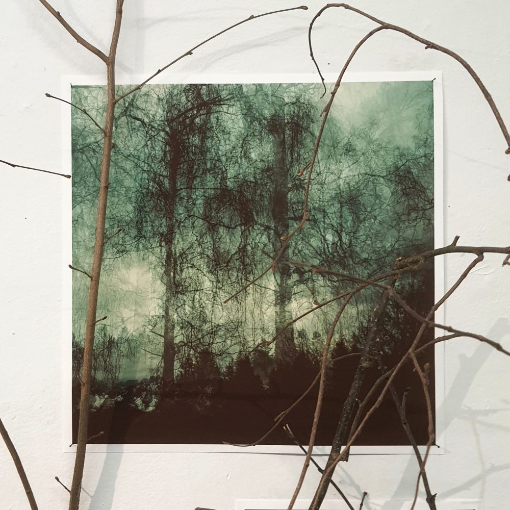 Andrea J Grote, O.T. (time pieces III), Fotografie, Äste, Nägel Installation, 2025, 150x250x45cm, Detail