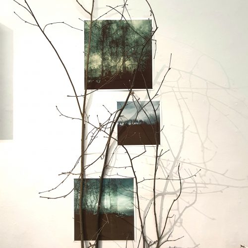 Andrea J Grote, O.T. (time pieces III), Fotografie, Äste, Nägel Installation, 2025, 150x250x45cm
